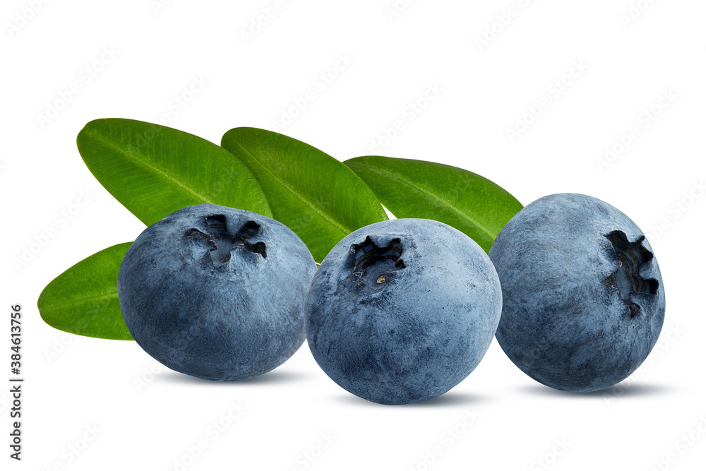 Blueberries with leaves isolated on white background with clipping path Blueberries with leaves isolated on white background with clipping path