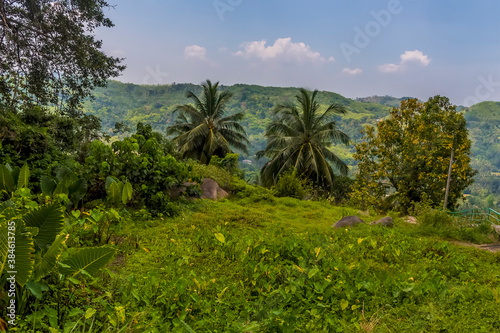 A view across the jungle after leaving  the station at Yatiwaldeniya on the Kandy to Colombo mainline railway in Sri Lanka, Asia © Nicola