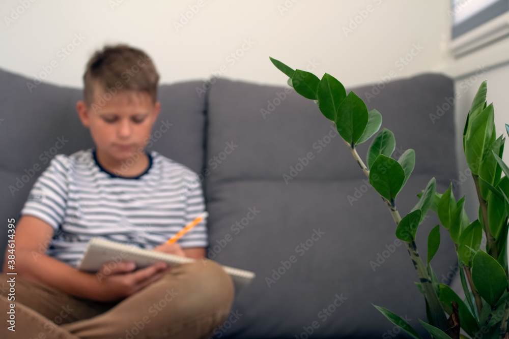 Blured portrait of diligent boy writing or drawing, sitting on grey sofa while doing homework. Distance education or personal education concept. Focus on the leaves, blured background. Selective focus Blured portrait of diligent boy writing or drawing, sitting on grey sofa while doing homework. Distance education or personal education concept. Focus on the leaves, blured background. Selective focus