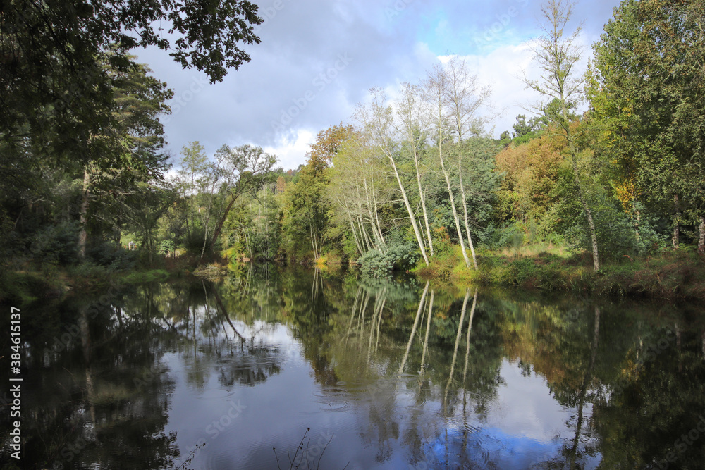 River surrounded by trees and vegetation on an autumn day. Autumn colours River surrounded by trees and vegetation on an autumn day. Autumn colours