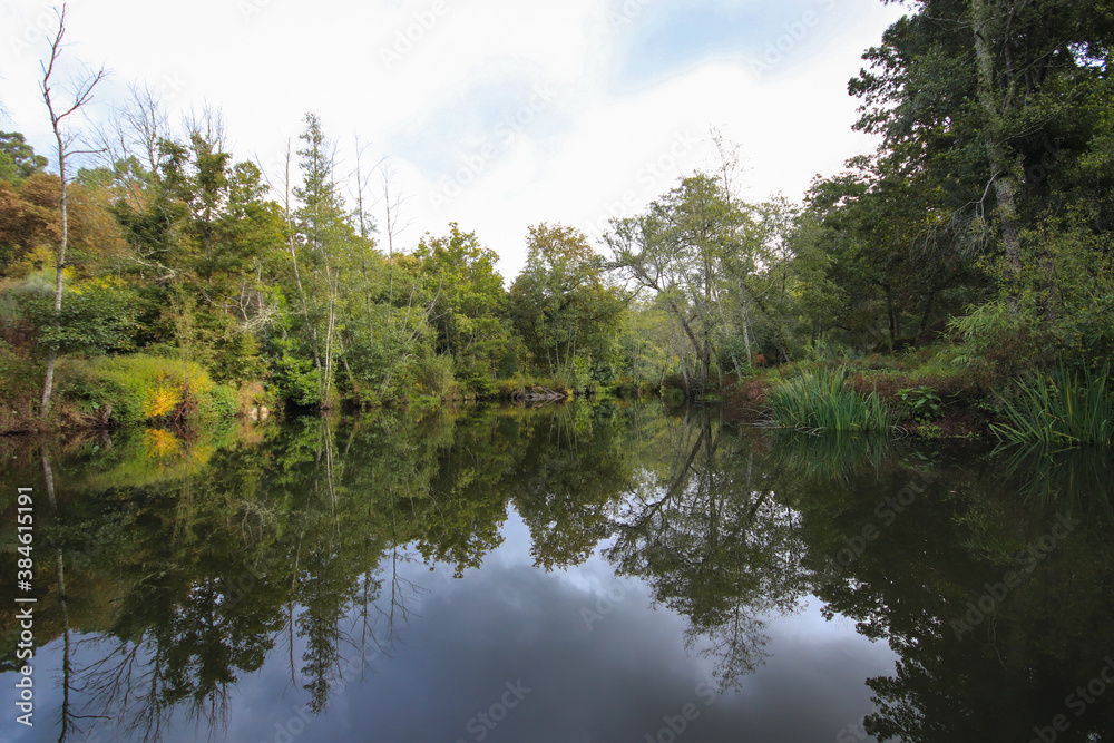 River surrounded by trees and vegetation on an autumn day. Autumn colours River surrounded by trees and vegetation on an autumn day. Autumn colours