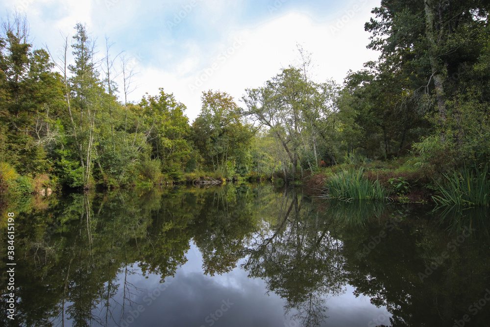 River surrounded by trees and vegetation on an autumn day. Autumn colours River surrounded by trees and vegetation on an autumn day. Autumn colours