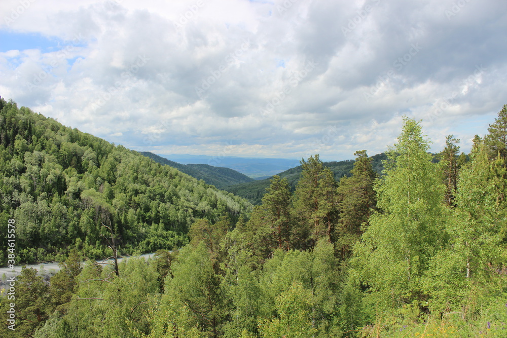 landscape with trees and clouds