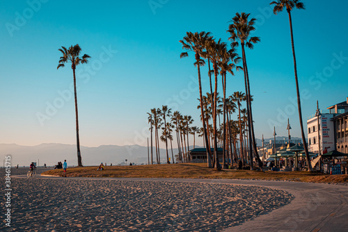 Fototapeta Naklejka Na Ścianę i Meble -  Palm trees and beautiful gradient sunset at Venice Beach Los Angeles