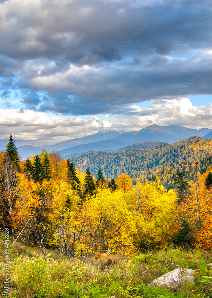 autumn in the mountains. Lago-Naki, Russia.
