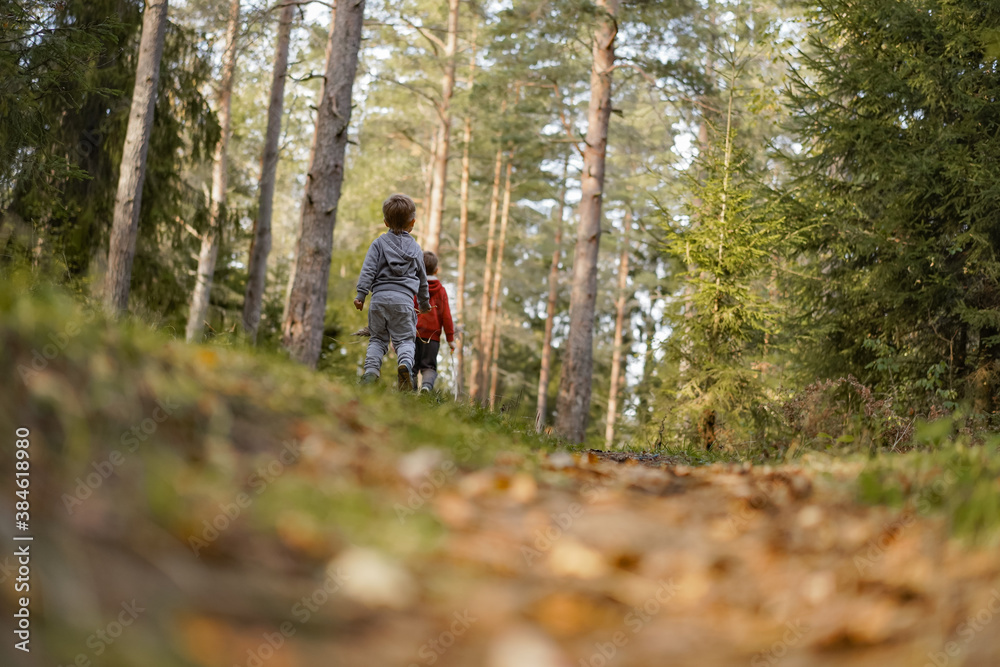 backview of little boys exploring autumn forest. Image with selective focus
