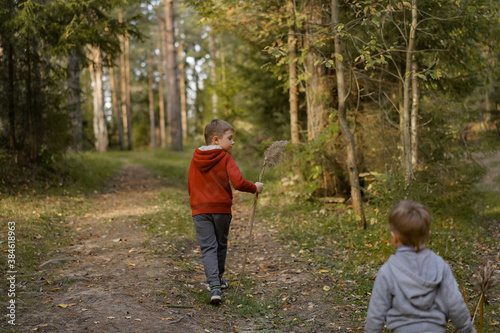 backview of little boys exploring autumn forest. Image with selective focus
