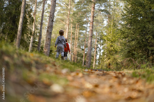 backview of little boys exploring autumn forest. Image with selective focus © Yulia Raneva
