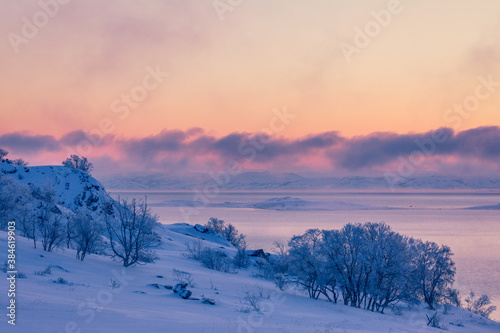 Beautiful winter landscape with trees covered with frost