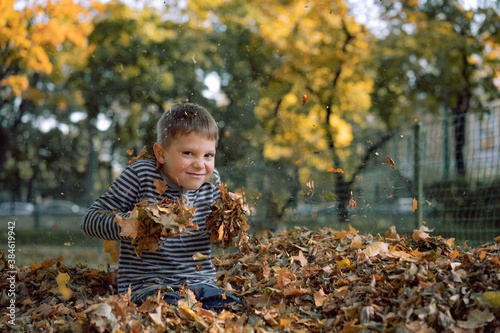 cute 6 year old caucasian boy having fun in a heap of fallen yellow leaves holding a bunch of them going to throw up into the air. warm autumn in park. Happy childhood concept