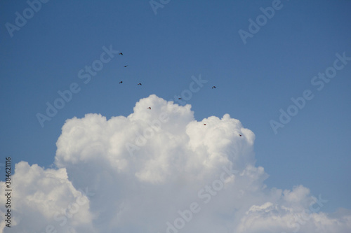 clouds and birds