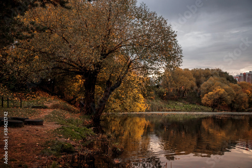 Autumn landscape - yellowed deciduous trees on the Bank of a pond in the city's autumn Park zone. Colorful autumn landscape. © MadCat13Shoombrat