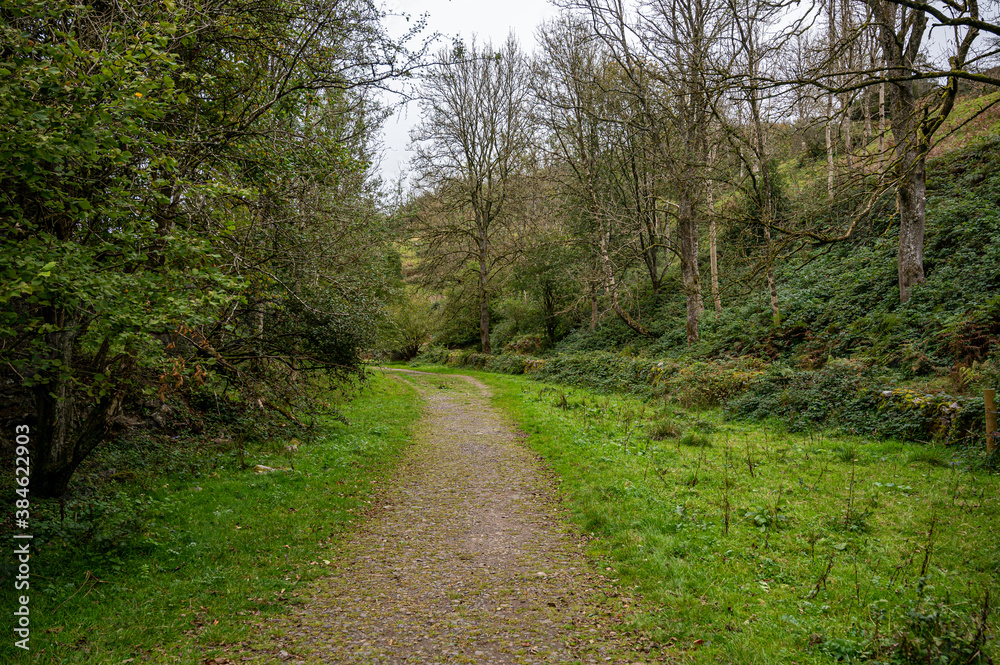 Countryside outdoors footpath in Autumn, Somerset, UK Countryside outdoors footpath in Autumn, Somerset, UK