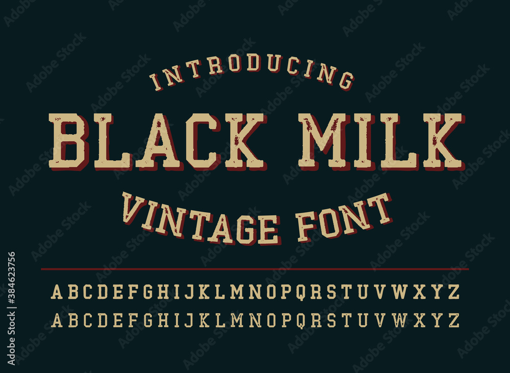 Fototapeta premium Vintage alphabet font with stamp effect