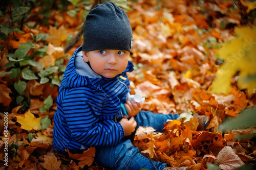 A small boy sat on the fallen leaves. A child in an autumn Park.