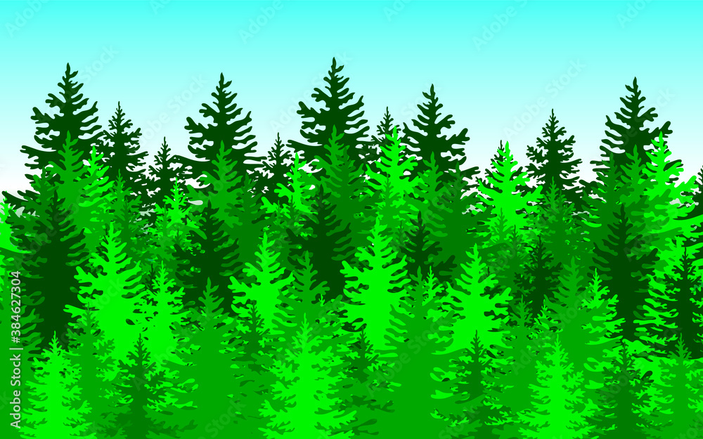Forest background, nature, landscape. Evergreen coniferous trees. Vector.
