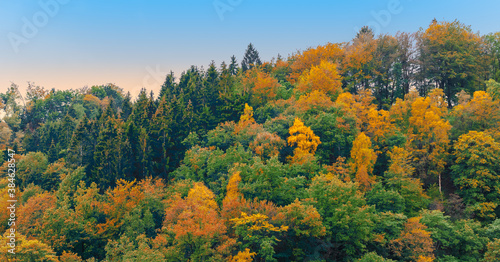 Autumn forest landscape in the Ardennes.