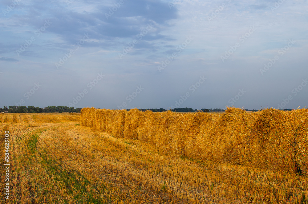 Golden sunset over a farm field with straw bales
