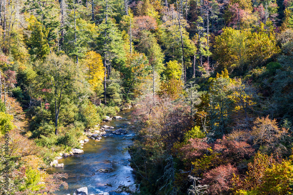 river in autumn forest