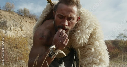 Primitive hunter gatherer wearing a sheepskin squatting down searching for edible plants and eating something that he picks from scrub photo