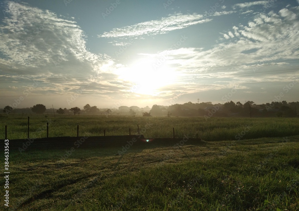 sunrise over the field