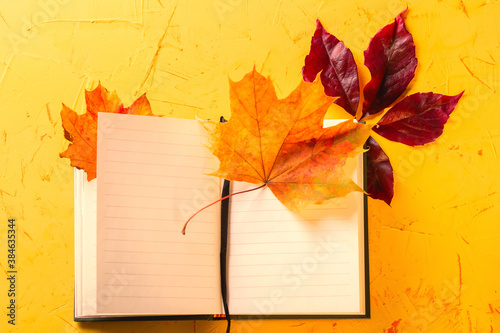 Autumn concept. Open Notepad and autumn leaves on a yellow concrete background. Top view. High quality photo