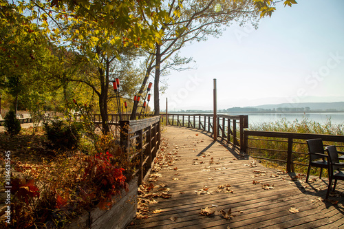 Romantic wooden walkway in trees by the lake
