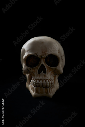 Skull isolated on black background. Copy space. 