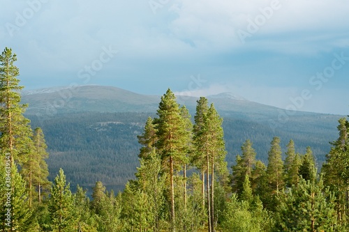 Fotografía Lofsdalen, Sweden. The view of the mountains obscured by trees.