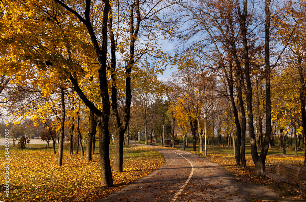 Path in the autumn park on sunny day.Autumn landscape,Zagreb,Croatia