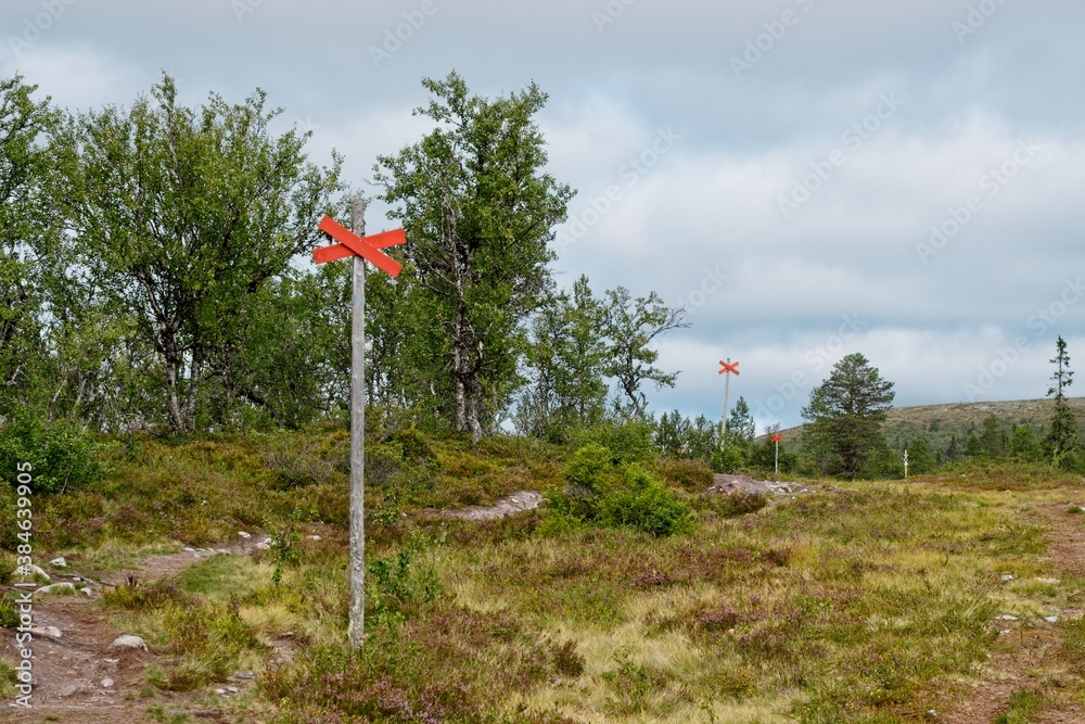 Lofsdalen, Sweden. Bollards indicating the winter hiking trail in Sweden.