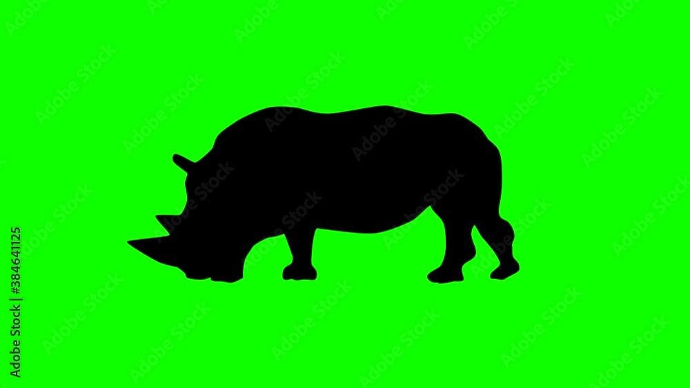 Walking rhinoceros, animation on the green background Walking rhinoceros, animation on the green background