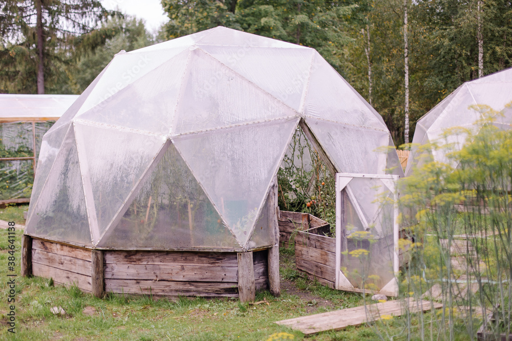 Stylish fashionable cozy greenhouse for growing vegetables in the form of a sphere ball. Plank hothouse construction. Gardening farming on a personal plot. Ecologically pure glasshouse