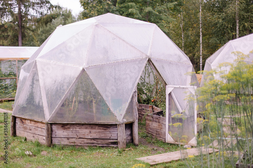 Stylish fashionable cozy greenhouse for growing vegetables in the form of a sphere ball. Plank hothouse construction. Gardening farming on a personal plot. Ecologically pure glasshouse
