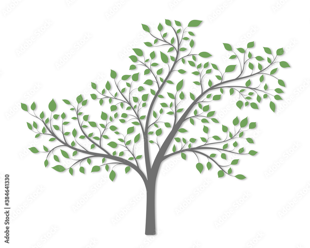 A tree with branches green leaves and a light shadow on a white background A tree with branches green leaves and a light shadow on a white background