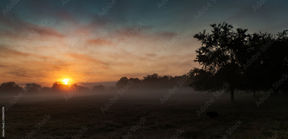 Sunrise on a foggy morning in the country