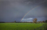 Rainbow in Dutch polder. Steenwijkerland. Scheerwolde. Rainclouds. Meadow with cows.