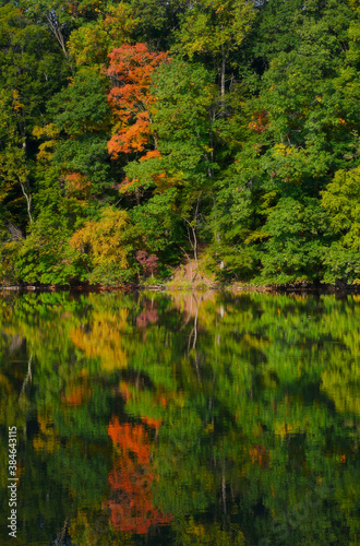 Early autumn tree foliage reflecting from a lake during fall season in New Jersey
