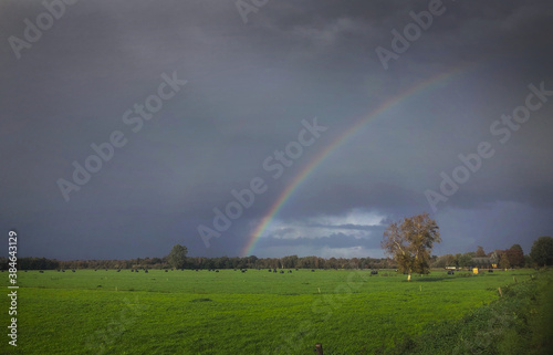 Rainbow in Dutch polder. Steenwijkerland. Scheerwolde. Rainclouds. Meadow with cows.