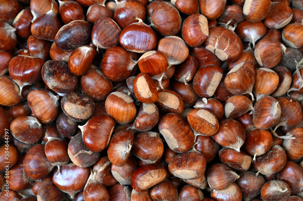 In october, close up of fresh brown chestnuts In october, close up of fresh brown chestnuts