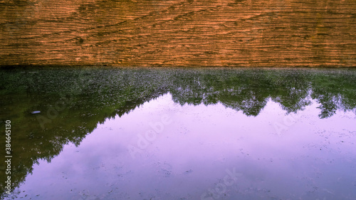 Just reflection of trees in lake upsidedown framed by wooden fence bar
