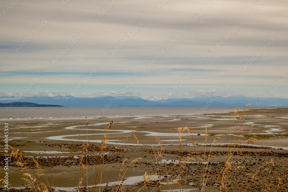 Sandy beach with a view of snowcap mountains and ocean Parksville BC