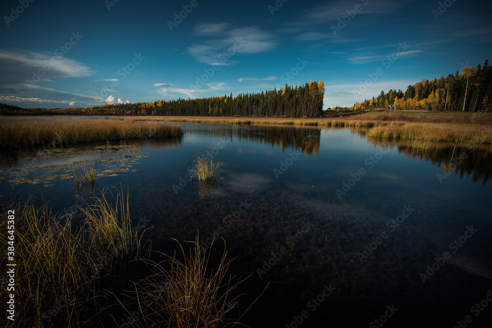 Canadian Autumn Marsh