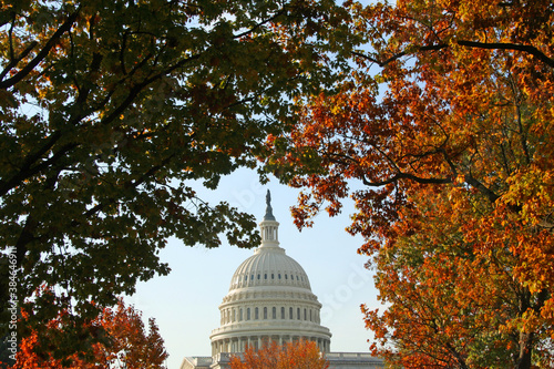 US Capitol Dome Through the Autumn Trees
