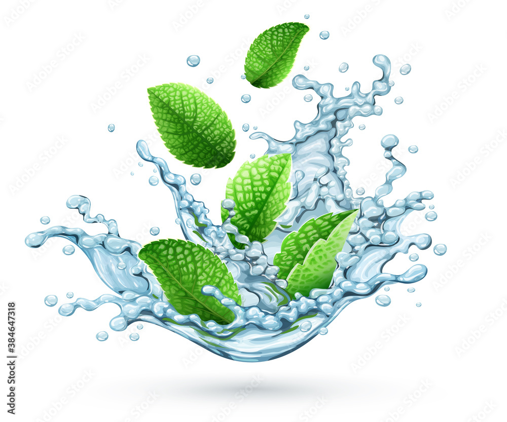 Realistic water splash with green peppermint leaves falling down. Fresh cool herbal drink with brandy mint for mojito or lemonade. Isolated on transparent white background. Illustration. - obrazy, fototapety, plakaty 