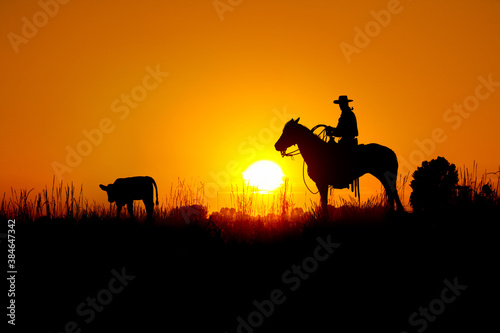 A silhouette of a working cowboy against an evening sunset getting ready to rope a stray calf.