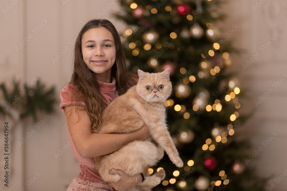 The girl spends the Christmas holidays with her cat The girl spends the Christmas holidays with her cat