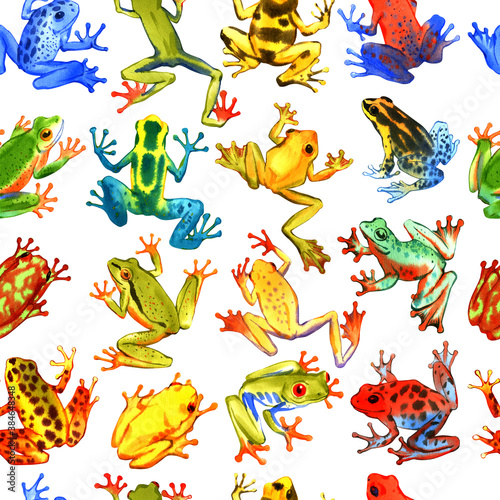 Hand drawn watercolor seamless pattern with colorful tree frogs. Stock illustration of tropical amphibians.