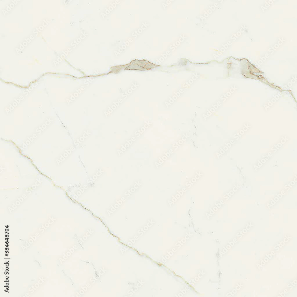 marble with black veins on a white background marble with black veins on a white background