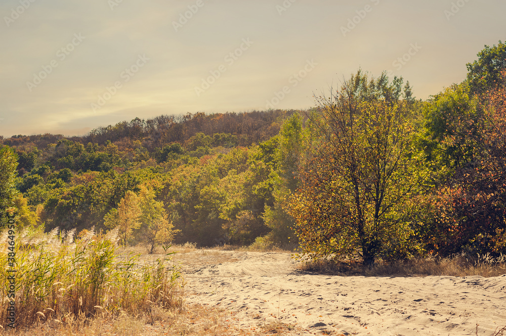 beautiful view of autumn trees growing on the river Bank beautiful view of autumn trees growing on the river Bank